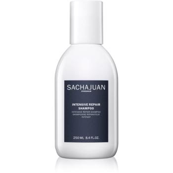 Sachajuan Intensive Repair Shampoo šampon pro poškozené a sluncem namáhané vlasy 250 ml