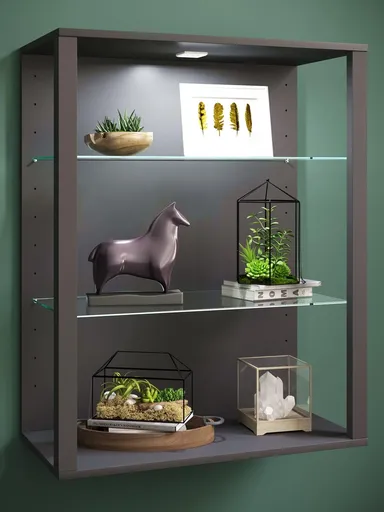 VCM Nástěnná vitrína Glasol LW, antracitová