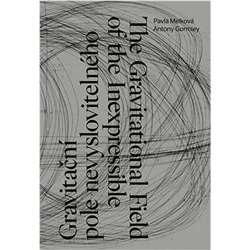 Gravitační pole nevyslovitelného (978-80-7437-376-3)