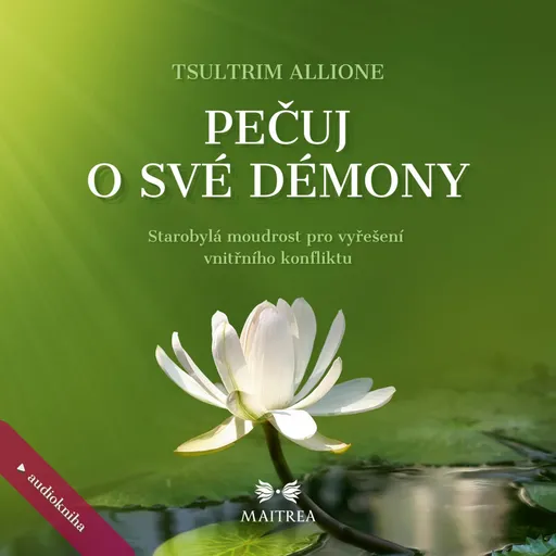 Pečuj o své démony - Allione Tsultrim - audiokniha