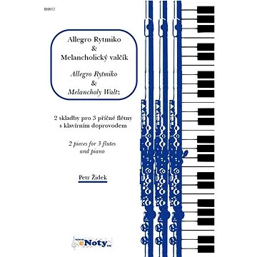 Židek, Petr: Allegro Rytmiko