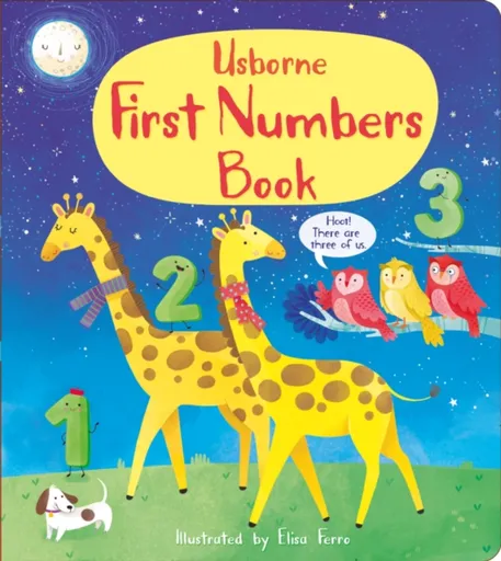 First Numbers Book - Matthew Oldham, Mary Cartwright