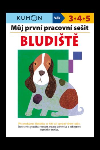 Můj první pracovní sešit - Bludište - Toshihiko Karakida, Yoshiko Murakami, Giovanni K. Moto