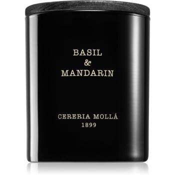 Cereria Mollá Boutique Basil & Mandarin vonná svíčka 230 g