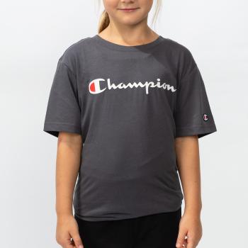 Champion Crewneck T-Shirt L