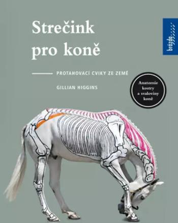 Strečink pro koně - Gillian Higginsová