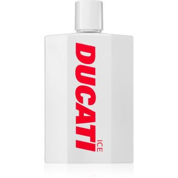 Ducati Ice toaletní voda pro muže 100 ml