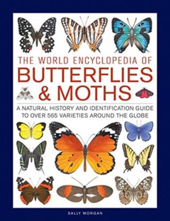 Butterflies & Moths, The World Encyclopedia of - Sally Morganová