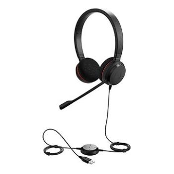 Jabra Evolve 20 Stereo USB-A (100-55900000-99)