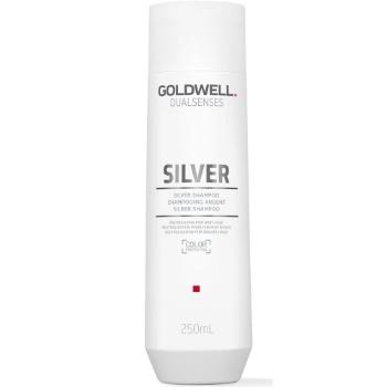 Goldwell Šampon pro blond a šedivé vlasy Dualsenses Silver (Silver Shampoo) 250 ml