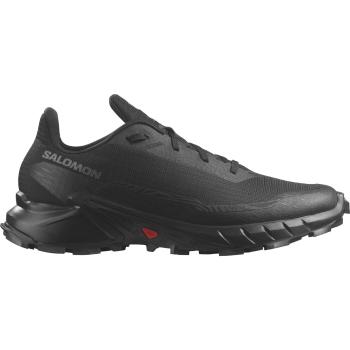 Salomon ALPHACROSS 5 46 2/3