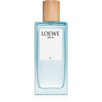 Loewe Agua Él toaletní voda pro muže 75 ml