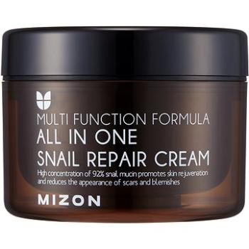 MIZON All In One Snail Repair Cream 120 ml (8809390126954)