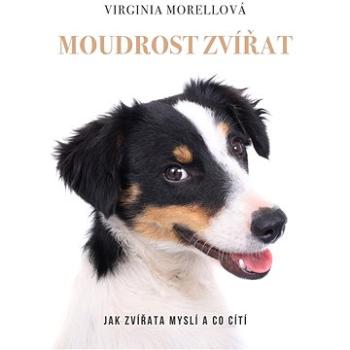 Moudrost zvířat (978-80-759-7623-9)