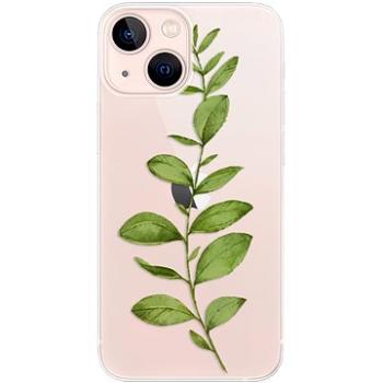 iSaprio Green Plant 01 pro iPhone 13 mini (grpla01-TPU3-i13m)