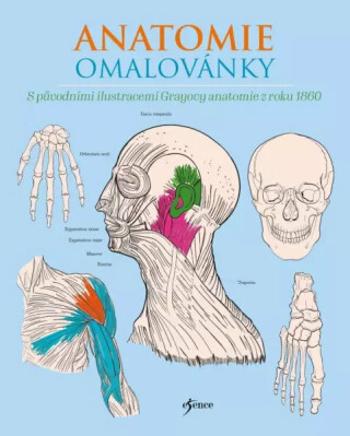 Anatomie omalovánky - Henry Gray, Henry Carter