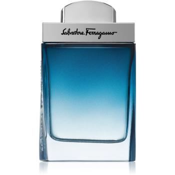 Ferragamo Subtil Pour Homme toaletní voda pro muže 50 ml