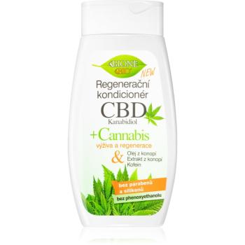 Bione Cosmetics Cannabis CBD regenerační kondicionér na vlasy 260 ml