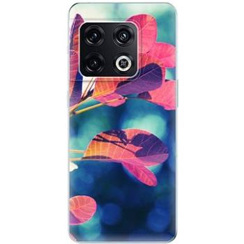 iSaprio Autumn 01 pro OnePlus 10 Pro (aut01-TPU3-op10pro)