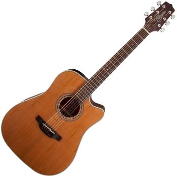 Takamine GD20CE Natural Satin Elektroakustická kytara Dreadnought