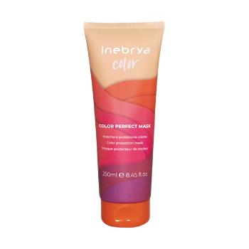 Inebrya Ochranná maska pro barvené vlasy Color Perfect (Hair Mask) 250 ml