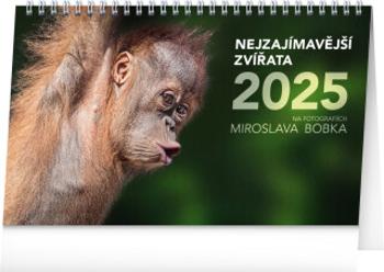 Stolní kalendář Nejzajímavější zvířata 2025