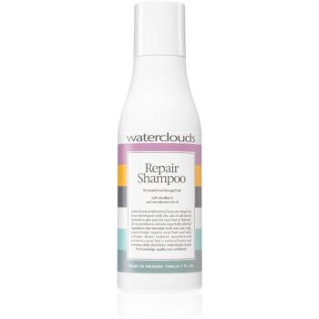 Waterclouds Repair Shampoo regenerační šampon 70 ml