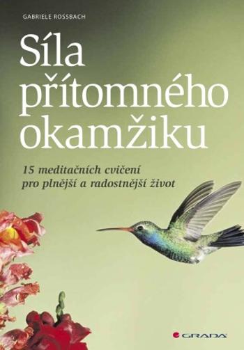 Síla přítomného okamžiku - Gabriele Rossbach - e-kniha