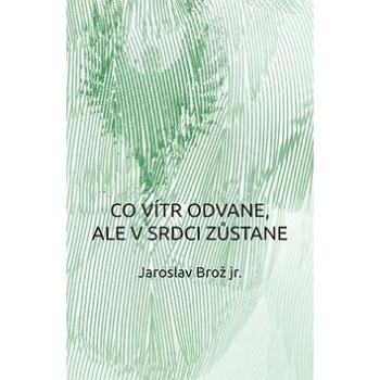 Co vítr odvane, ale v srdci zůstane (978-80-7557-076-5)