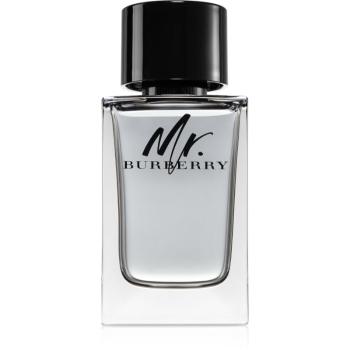 Burberry Mr. Burberry toaletní voda pro muže 150 ml