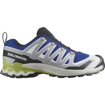 Salomon XA PRO 3D V9 XA PRO 3D V9, szürke, méret 43 1/3