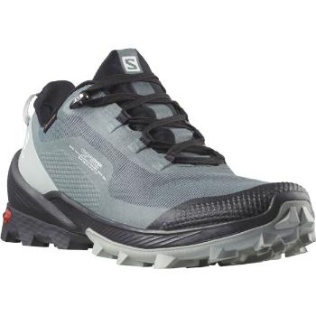 Salomon CROSS OVER GTX W Dámská turistická obuv, šedá, velikost 39 1/3