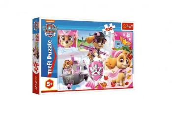 Trefl Paw Patrol Tlapková patrola Skye v akci 16368 100 dílků