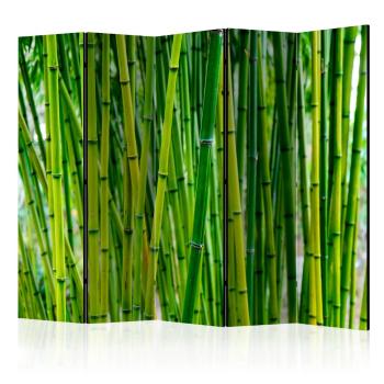 Paraván Bamboo Forest Dekorhome 225x172 cm (5-dílný)