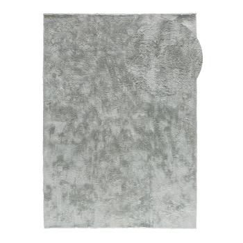 Szürke szőnyeg 80x150 cm Roma – Universal