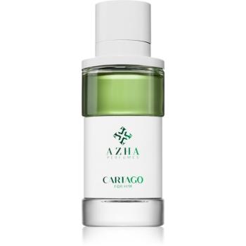 AZHA Perfumes Cartago parfémovaná voda pro muže 100 ml