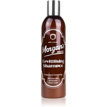 Morgan's Revitilising Shampoo intenzivně vyživující šampon 250 ml