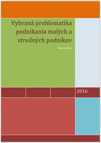 Vybraná problematika podnikania malých a stredných podnikov - Katarína Ižová - e-kniha