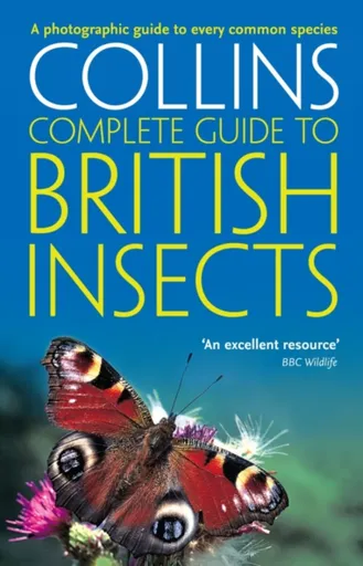 British Insects - Michael Chinery