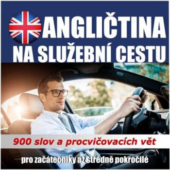 Angličtina na služební cestu - audioacademyeu - audiokniha