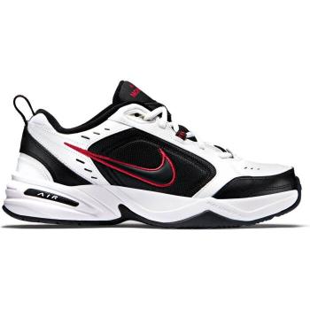 Nike Air Monarch IV 43