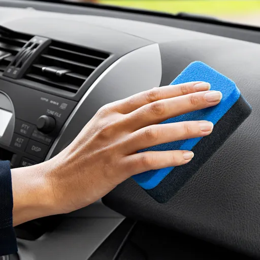 Houba do auta magická