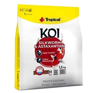 Tropical Koi Silkworm