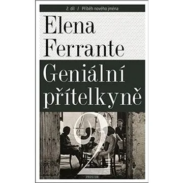 Geniální přítelkyně 2: Příběh nového jména (978-80-7260-453-1)