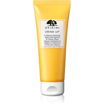 Origins Drink Up™ 10 Minute Hydrating Mask With Apricot & Glacier Water hydratační maska 75 ml