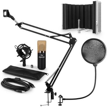 Auna MIC-900BG V5, ZLATÁ, MIKROFONNÍ SADA, KONDENZÁTOROVÝ MIKROFON, POP-FILTR, RESORBČNÍ PANEL, RAMENO