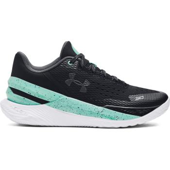 Under Armour CURRY 2 LOW FLOTRO 45,5