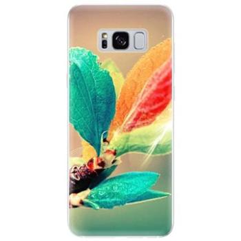 iSaprio Autumn pro Samsung Galaxy S8 (aut02-TPU2_S8)