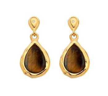 Hot Diamonds Pozlacené visací náušnice s diamanty a tygřím okem Gemstones DE819