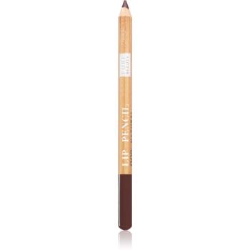 Astra Make-up Pure Beauty Lip Pencil konturovací tužka na rty natural odstín 01 Mahogany 1,1 g